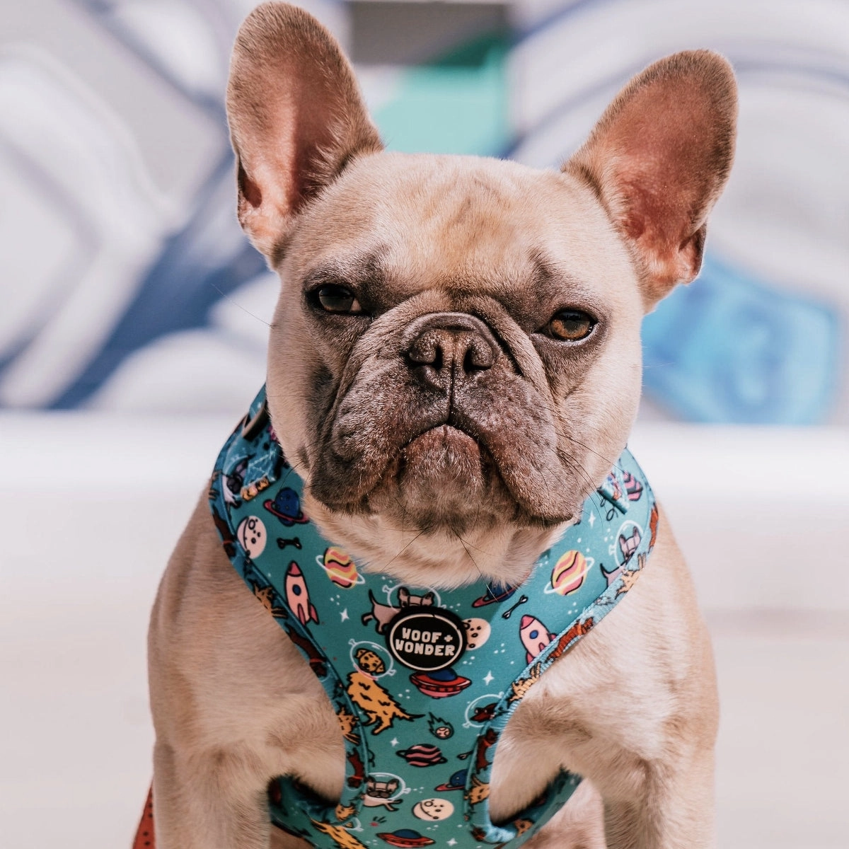 Space Dogs Adjustable Dog Harness