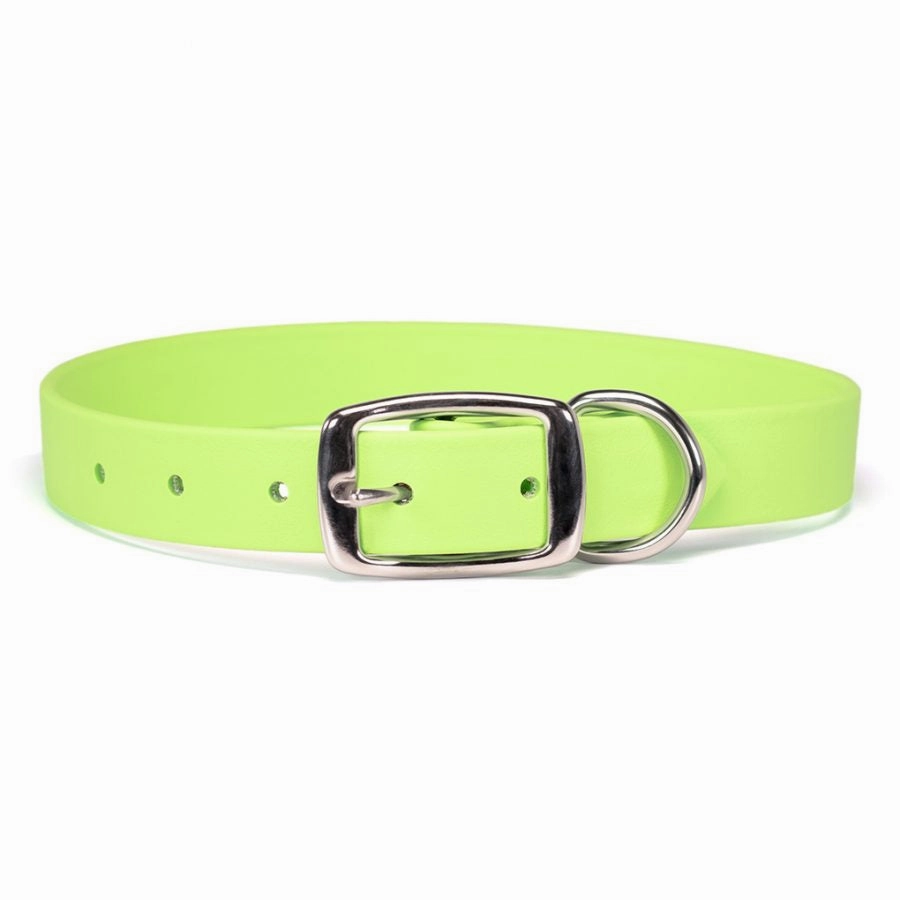 Sparky's Choice Buckle Dog Collar Lime
