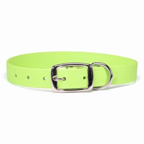 Sparky's Choice Buckle Dog Collar Lime