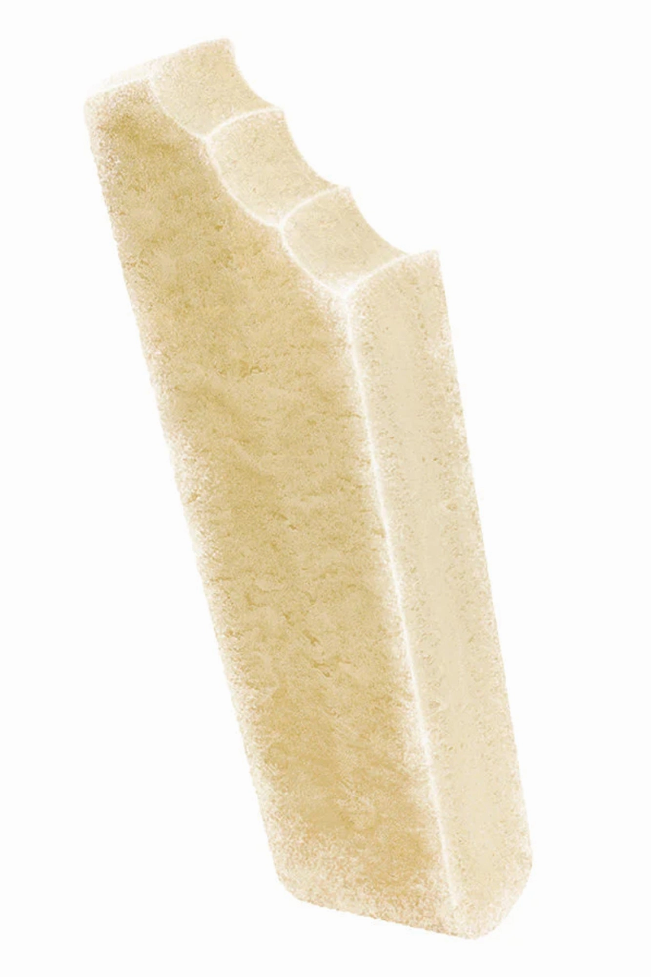 Spunky Pup Ice Cream Dog Treat