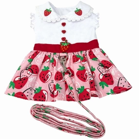 Strawberry Picnic Dog Dress With Matching Leash