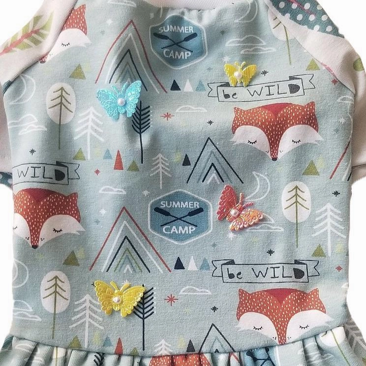 Summer Camp Raglan Sleeve Dog Dress