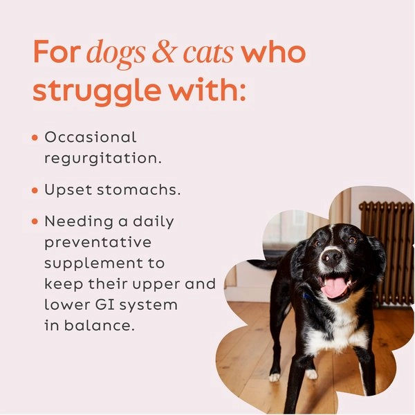 Super Snouts GI Balance Powder Supplement for Dogs and Cats