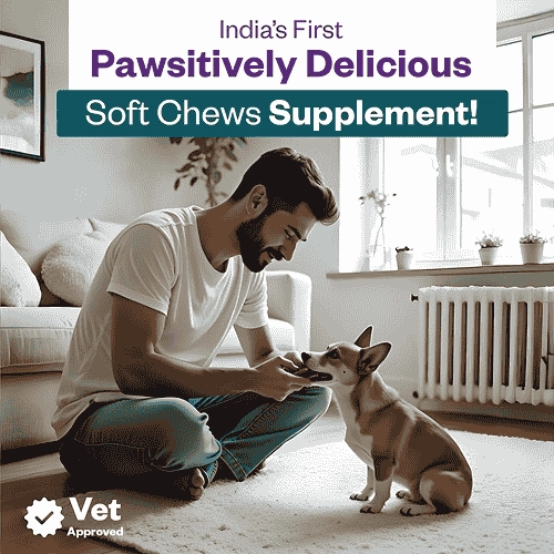 TailsAlive Calcium Chicken Flavor Soft Chews Supplements for Dogs