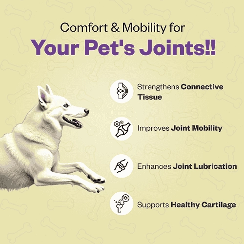 TailsAlive Hip & Joint Chicken Flavor Soft Chews Supplements for Dogs