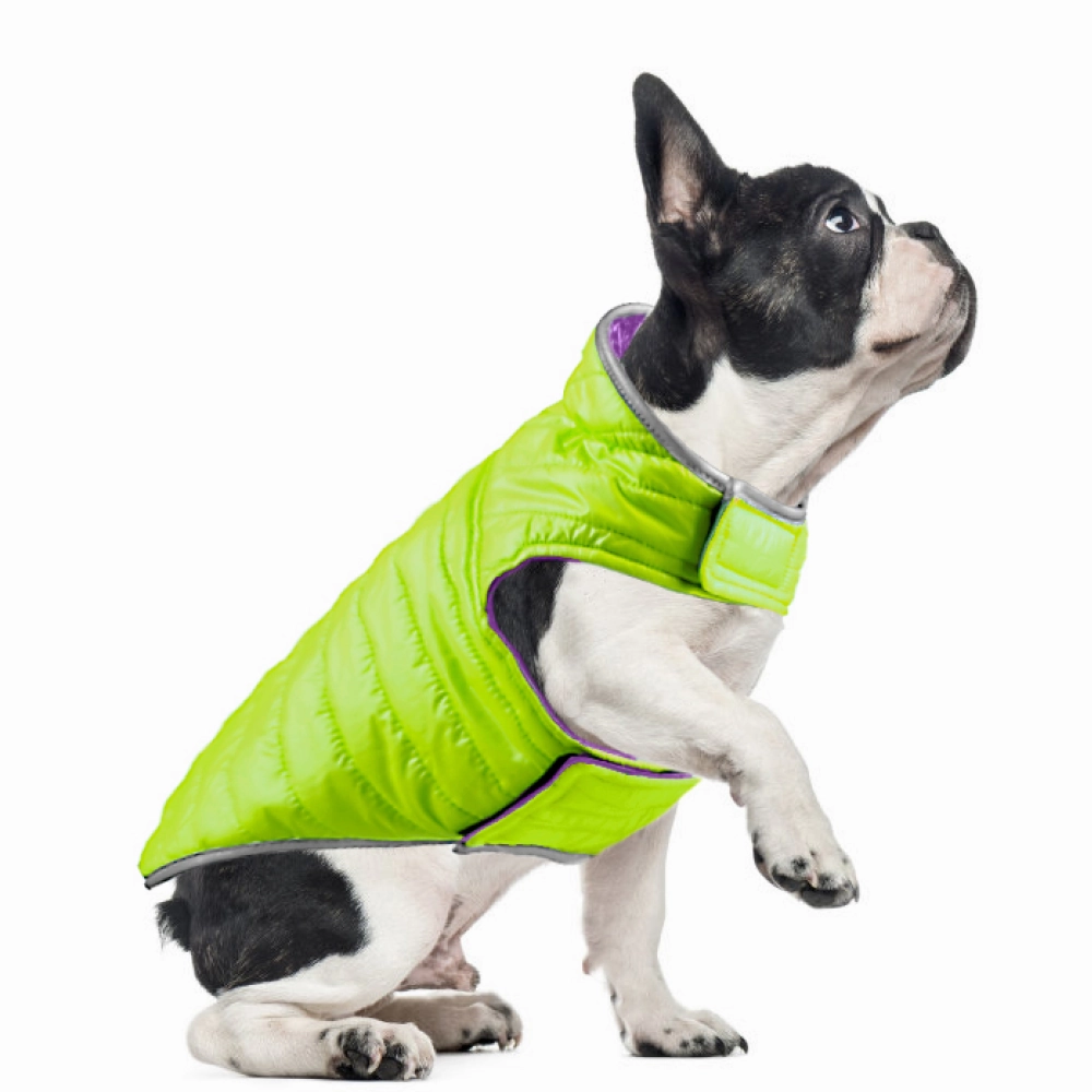 Talking Dog Club Double Trouble Reversible Jackets for Dogs (Purple/Neon Green)