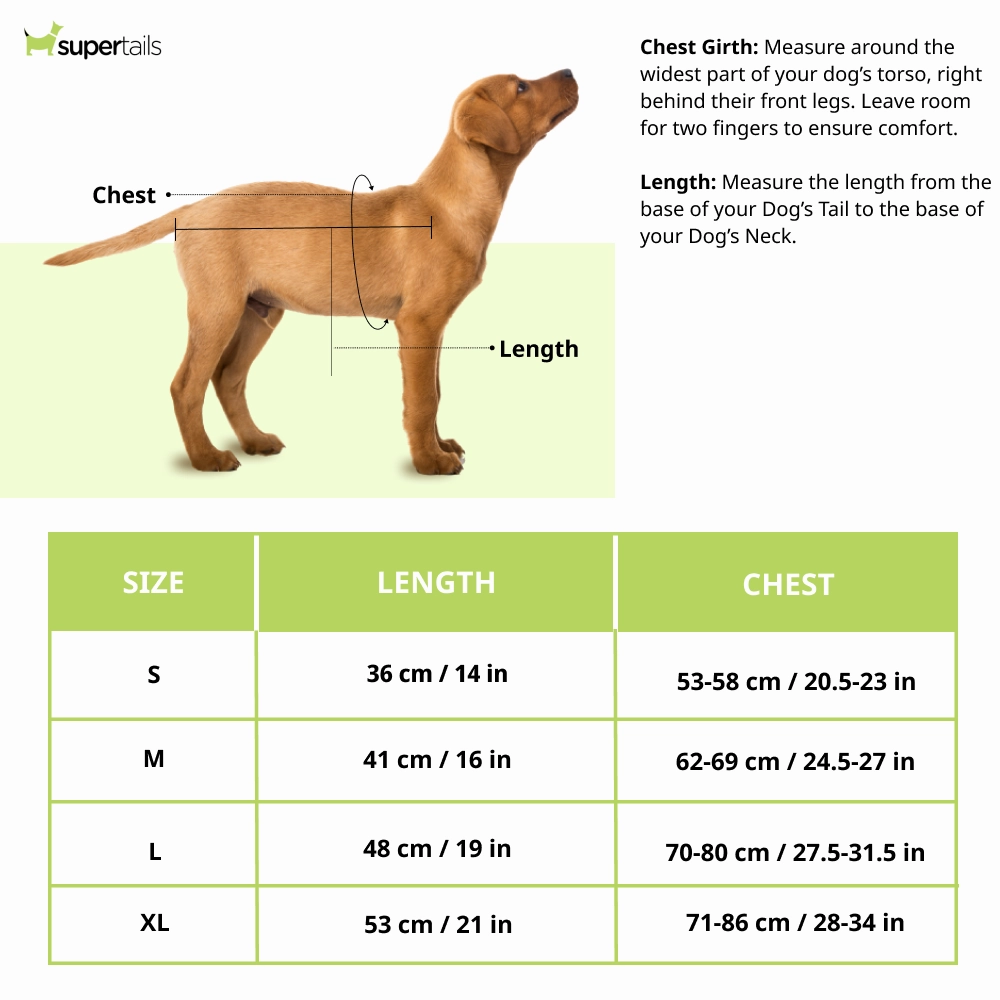 Talking Dog Club Double Trouble Reversible Jackets for Dogs (Purple/Neon Green)