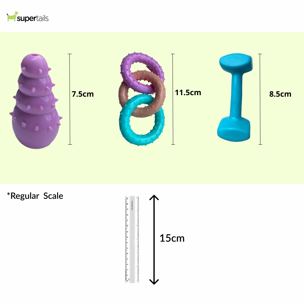 Talking Dog Club First Puppy Toy Set for Dogs (Multicolour)