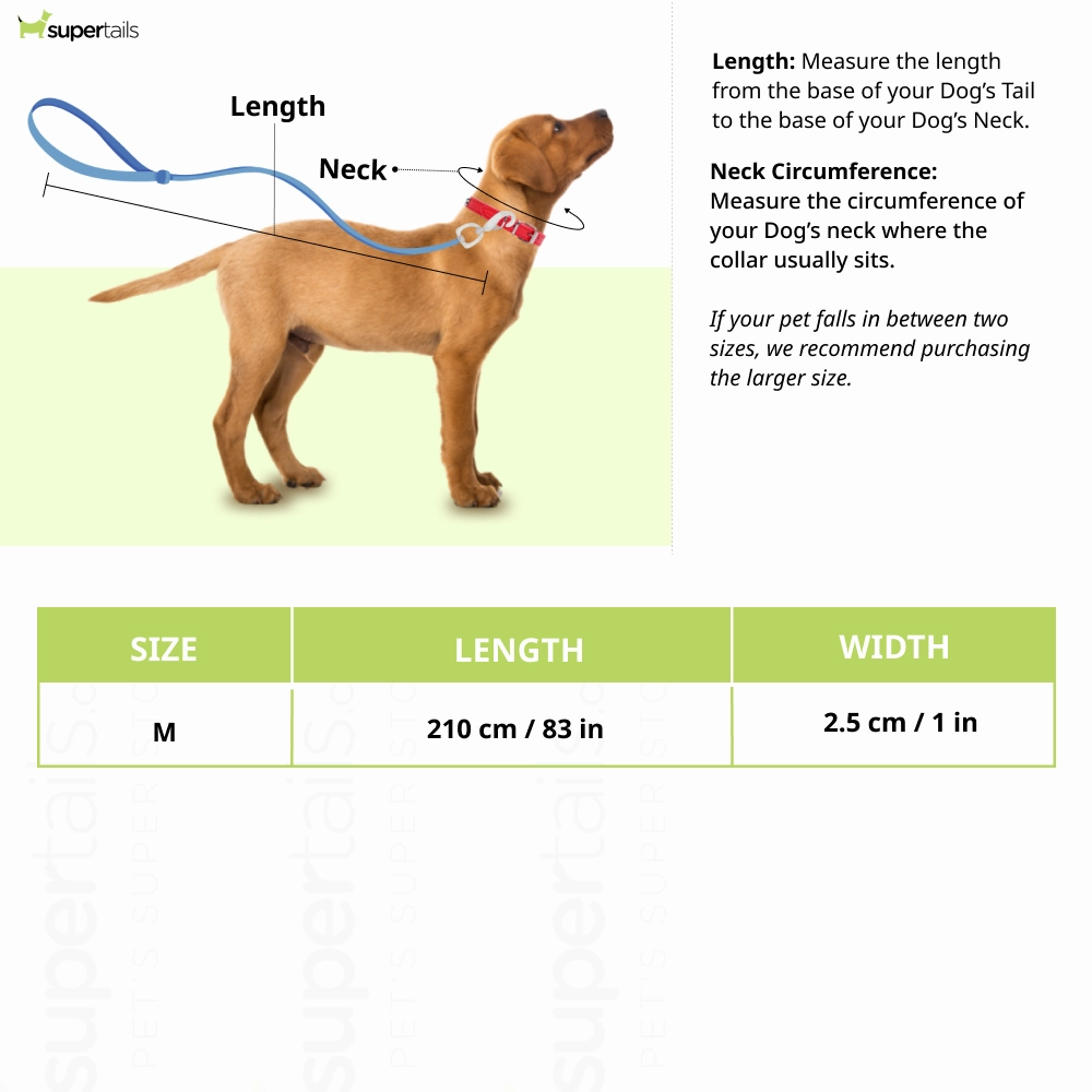 Talking Dog Club Multifunction Handsfree Leash for Dogs (Black)