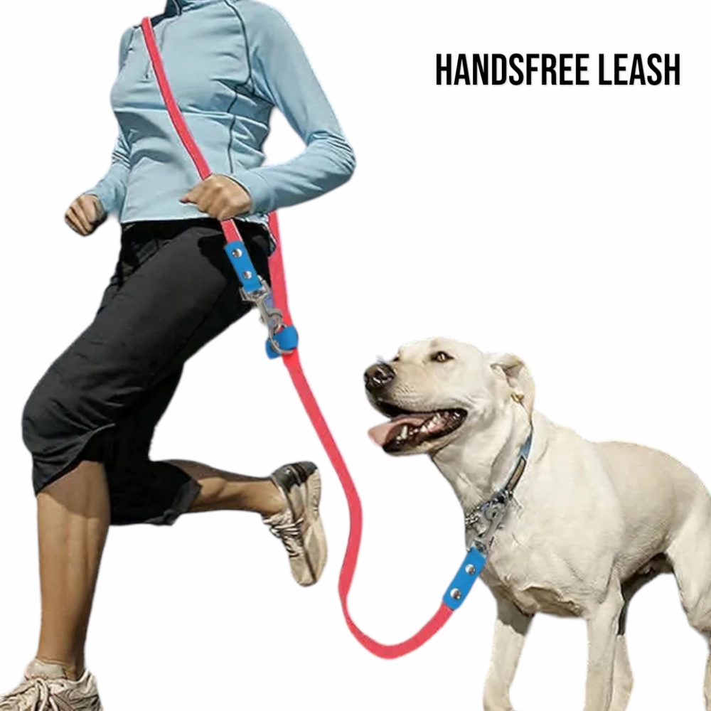 Talking Dog Club Multifunction Handsfree Leash for Dogs (Blue)
