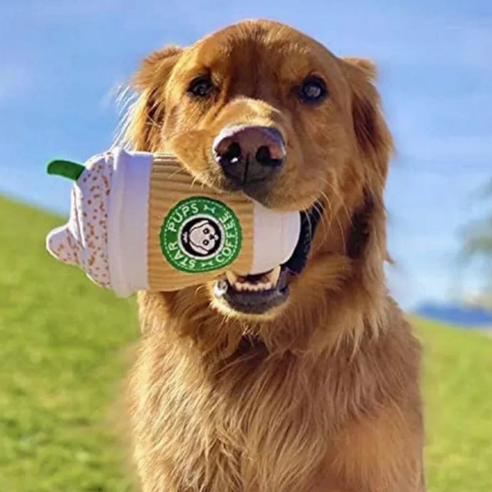 Talking Dog Club Pup Cup Plush Toy for Dogs (White)
