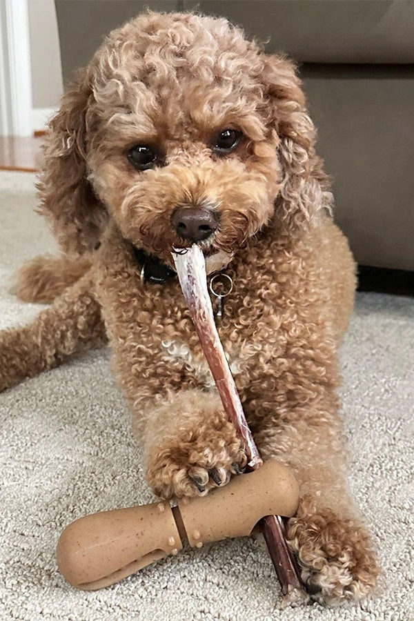 Tall Tails Bully Stick Holder
