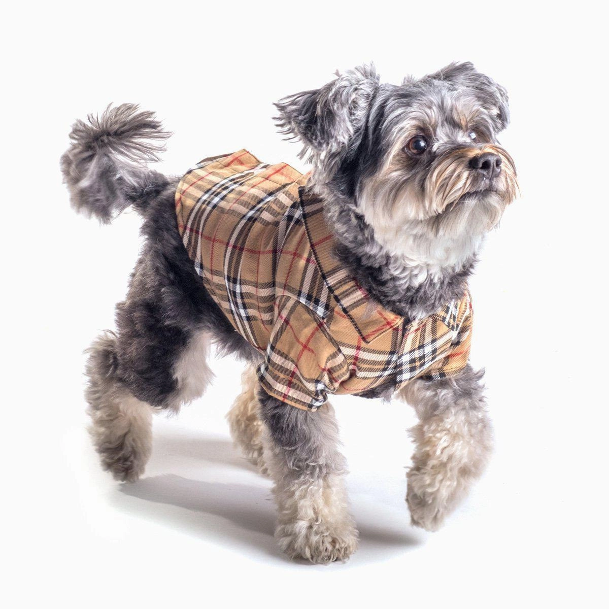 Tan Plaid Dog Shirt
