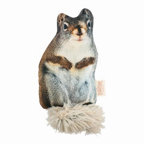Territory Outdoor Adventure Floppy Squirrel Dog Toy