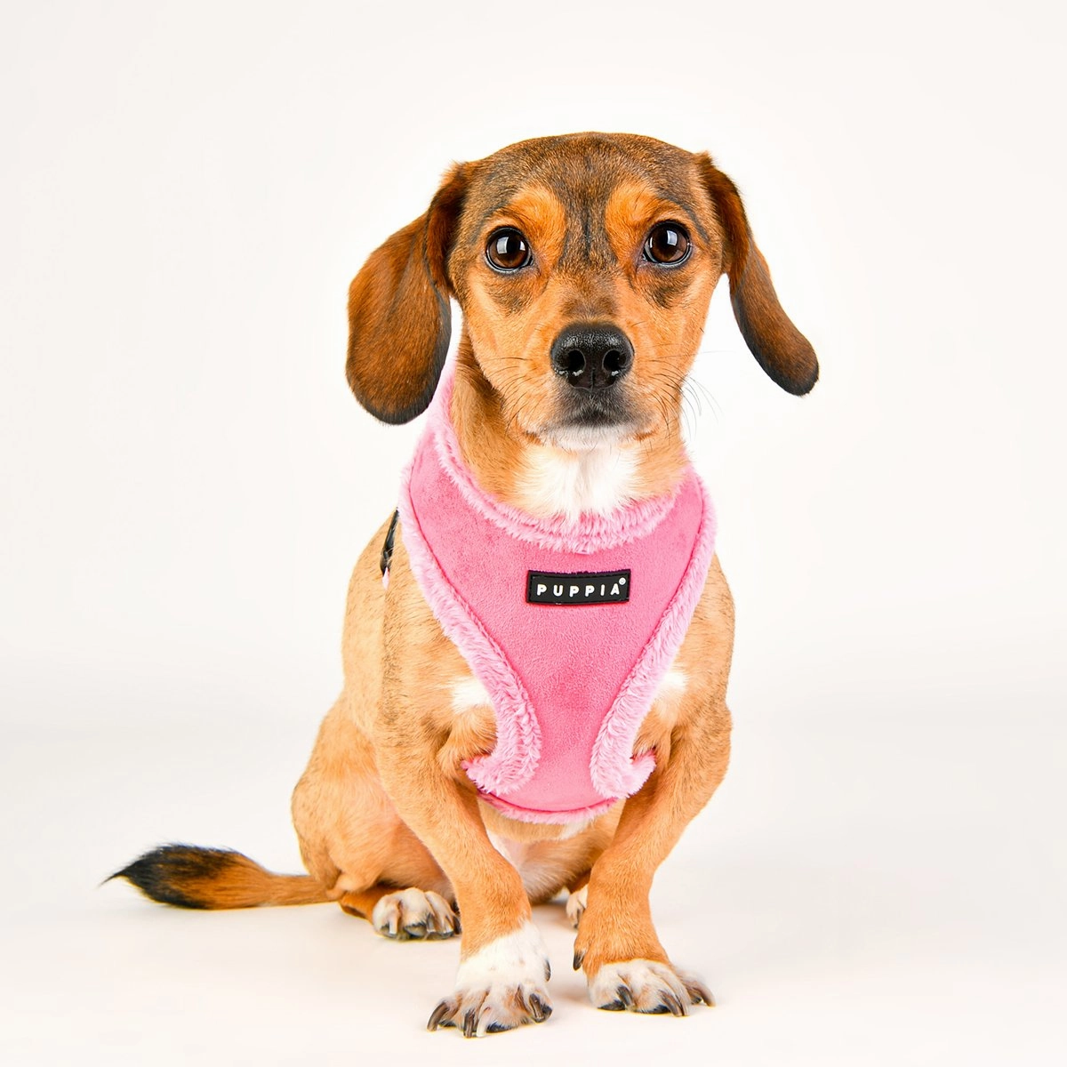 Terry Dog Harness A