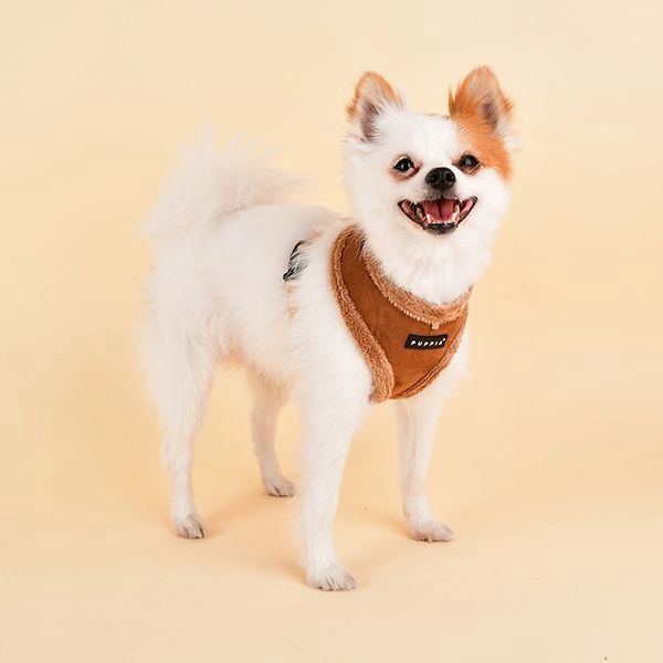Terry Dog Harness A