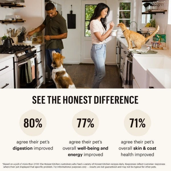 The Honest Kitchen Whole Grain Turkey Recipe Dehydrated Dog Food, 10lb (SPECIAL ORDER ITEM)