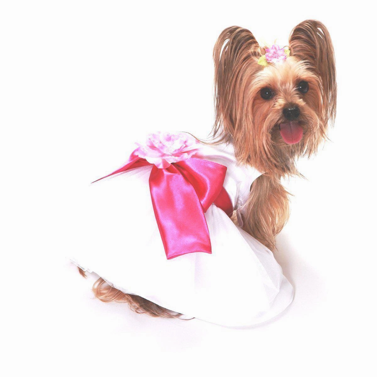 The Madeleine Dog Dress With Hot Pink Sash