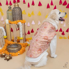 The Papaw Cartel Brocade Koti Kurta for Dog (Peach/Pink & Gold)