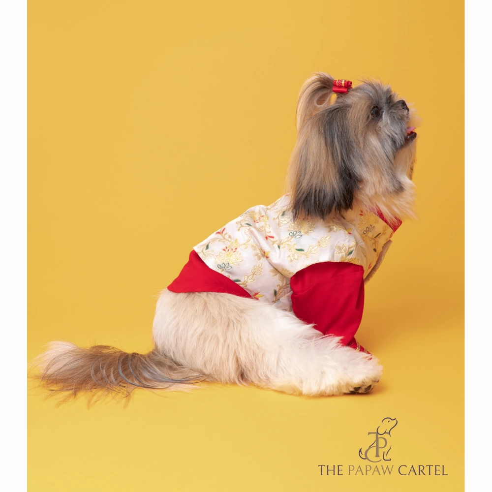 The Papaw Cartel Brocade Zari Koti With Gotapati Kurta For Dogs (White and Red)