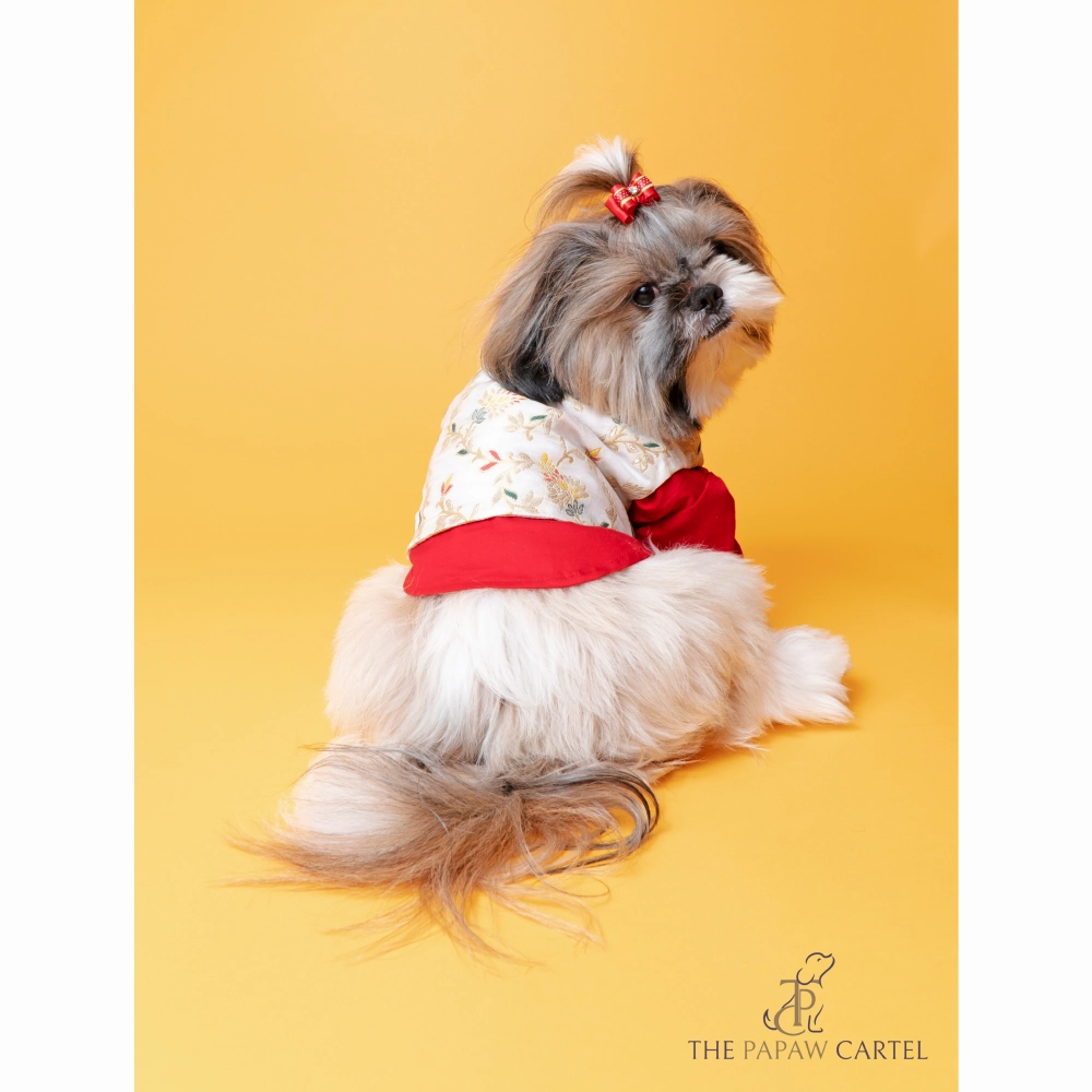 The Papaw Cartel Brocade Zari Koti With Gotapati Kurta For Dogs (White and Red)