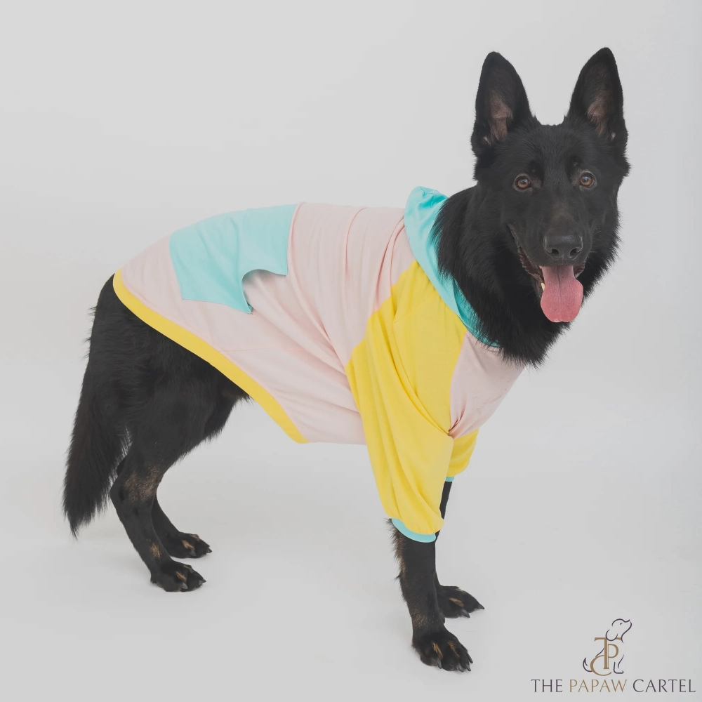 The Papaw Cartel Candy Floss Color Blocking Hoodie Tshirt for Dogs (Pink/Blue/Yellow)
