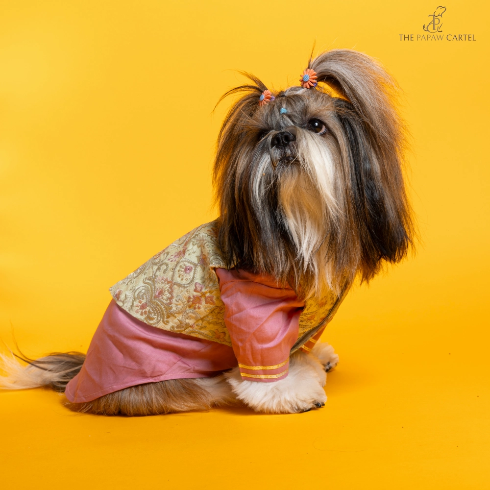 The Papaw Cartel Floral Embroidered Koti and Kurta set for Dogs (Pink)