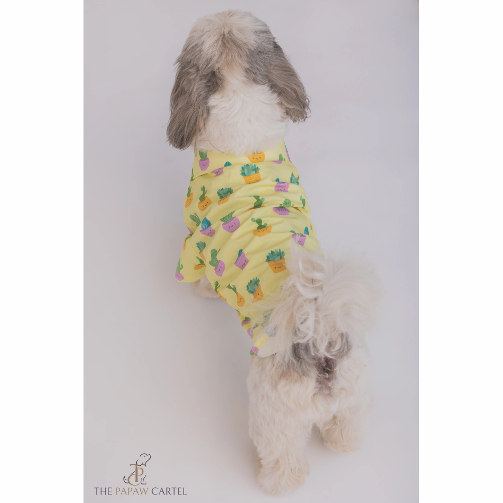 The Papaw Cartel Happy Cactus Shirt for Dogs (Lime Yellow)