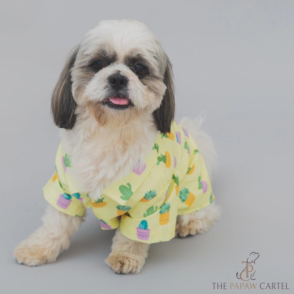 The Papaw Cartel Happy Cactus Shirt for Dogs (Lime Yellow)