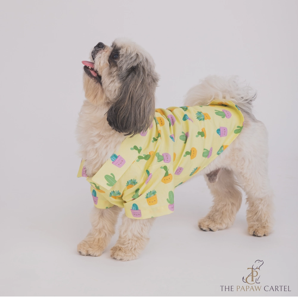 The Papaw Cartel Happy Cactus Shirt for Dogs (Lime Yellow)