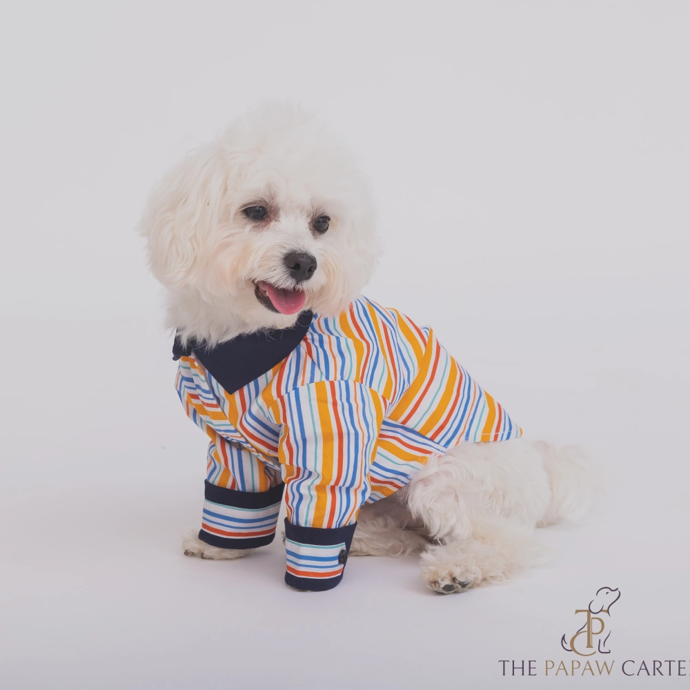The Papaw Cartel Stripe Shirt for Dogs (Multicolor)