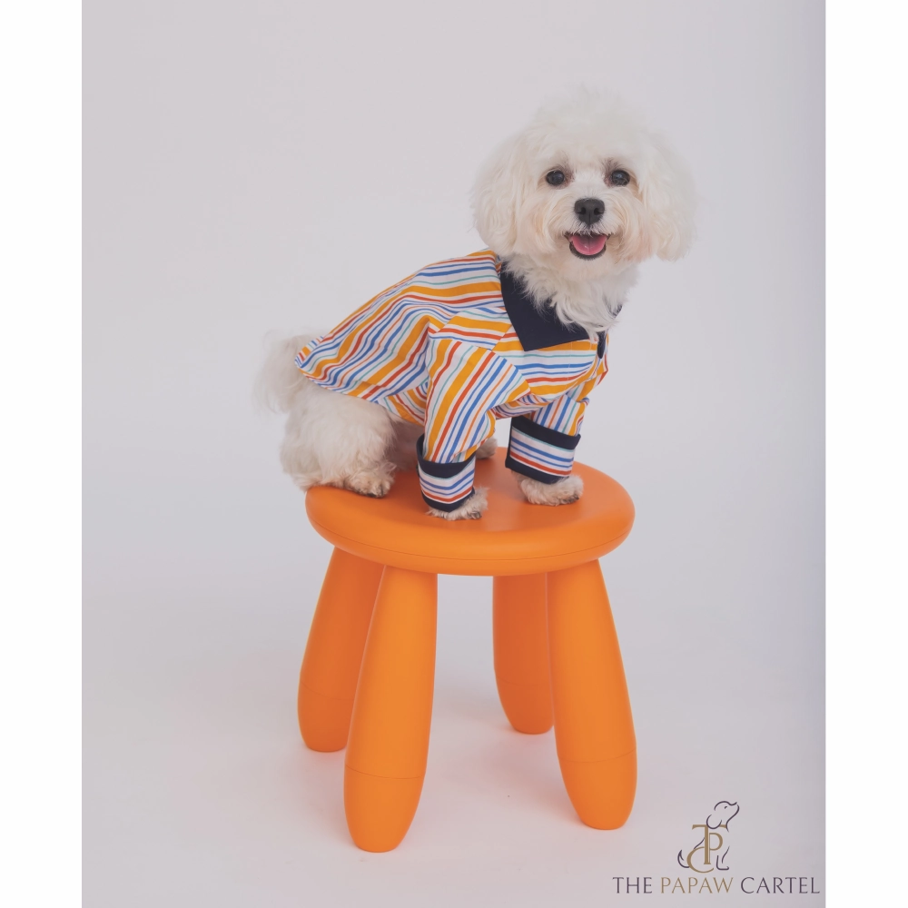The Papaw Cartel Stripe Shirt for Dogs (Multicolor)