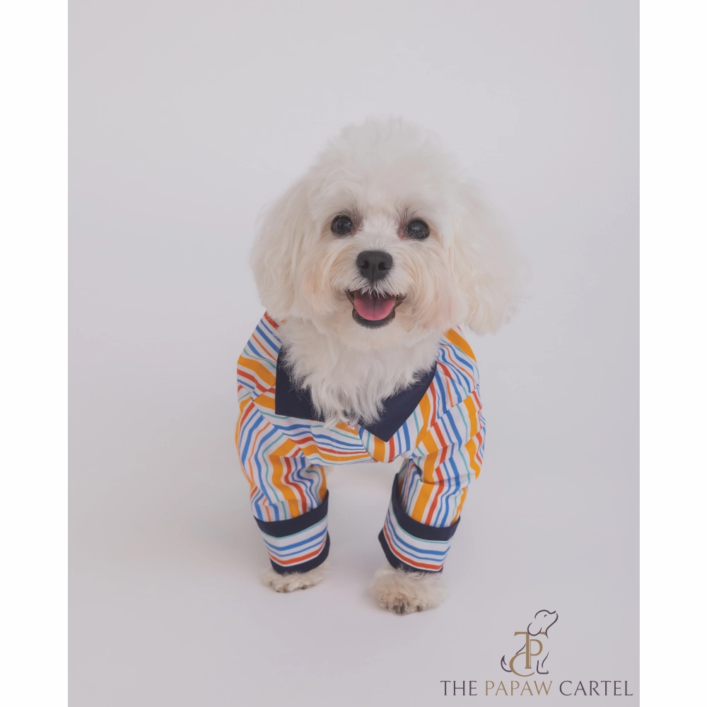 The Papaw Cartel Stripe Shirt for Dogs (Multicolor)