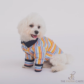 The Papaw Cartel Stripe Shirt for Dogs (Multicolor)