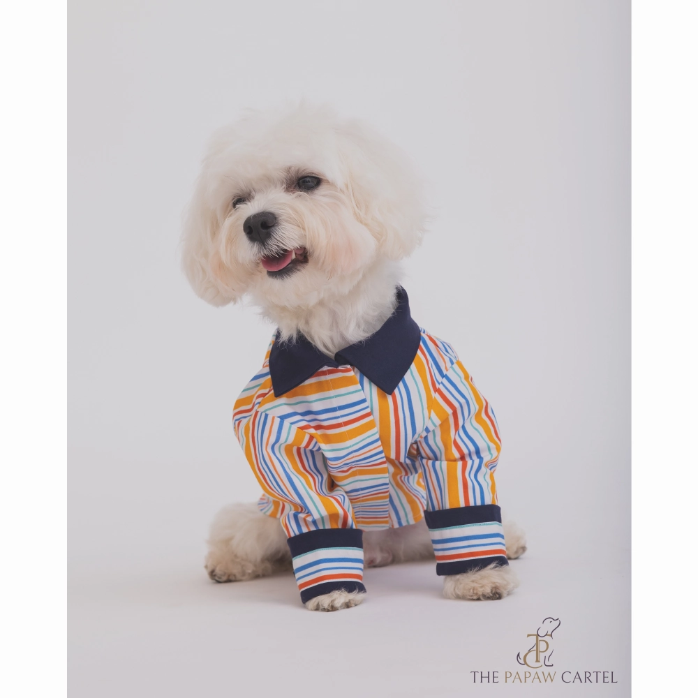 The Papaw Cartel Stripe Shirt for Dogs (Multicolor)