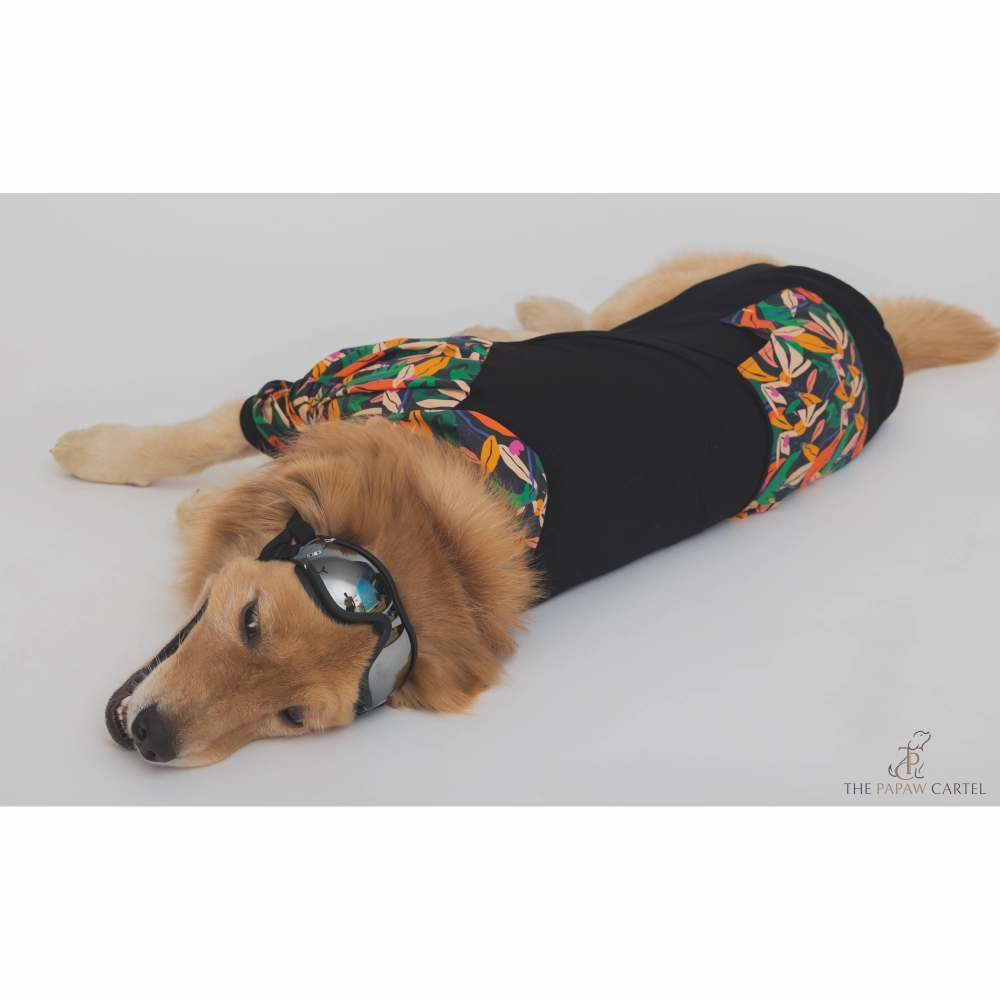 The Papaw Cartel Tropical Bomber Shacket for Dogs (Black)