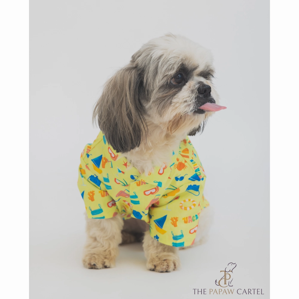 The Papaw Cartel Vacation Dress for Dogs (Lime Green)