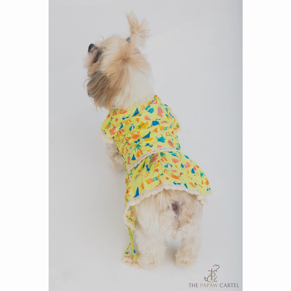 The Papaw Cartel Vacation Dress for Dogs (Lime Green)