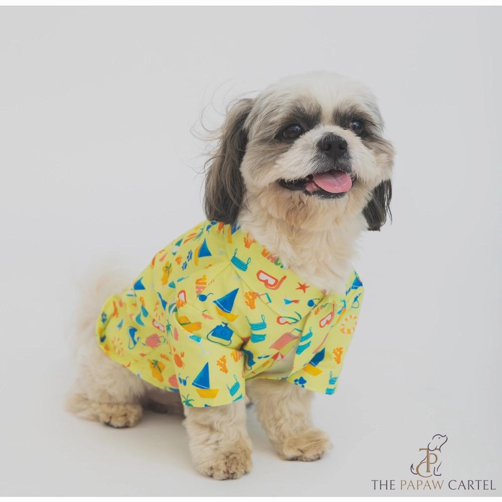 The Papaw Cartel Vacation Dress for Dogs (Lime Green)