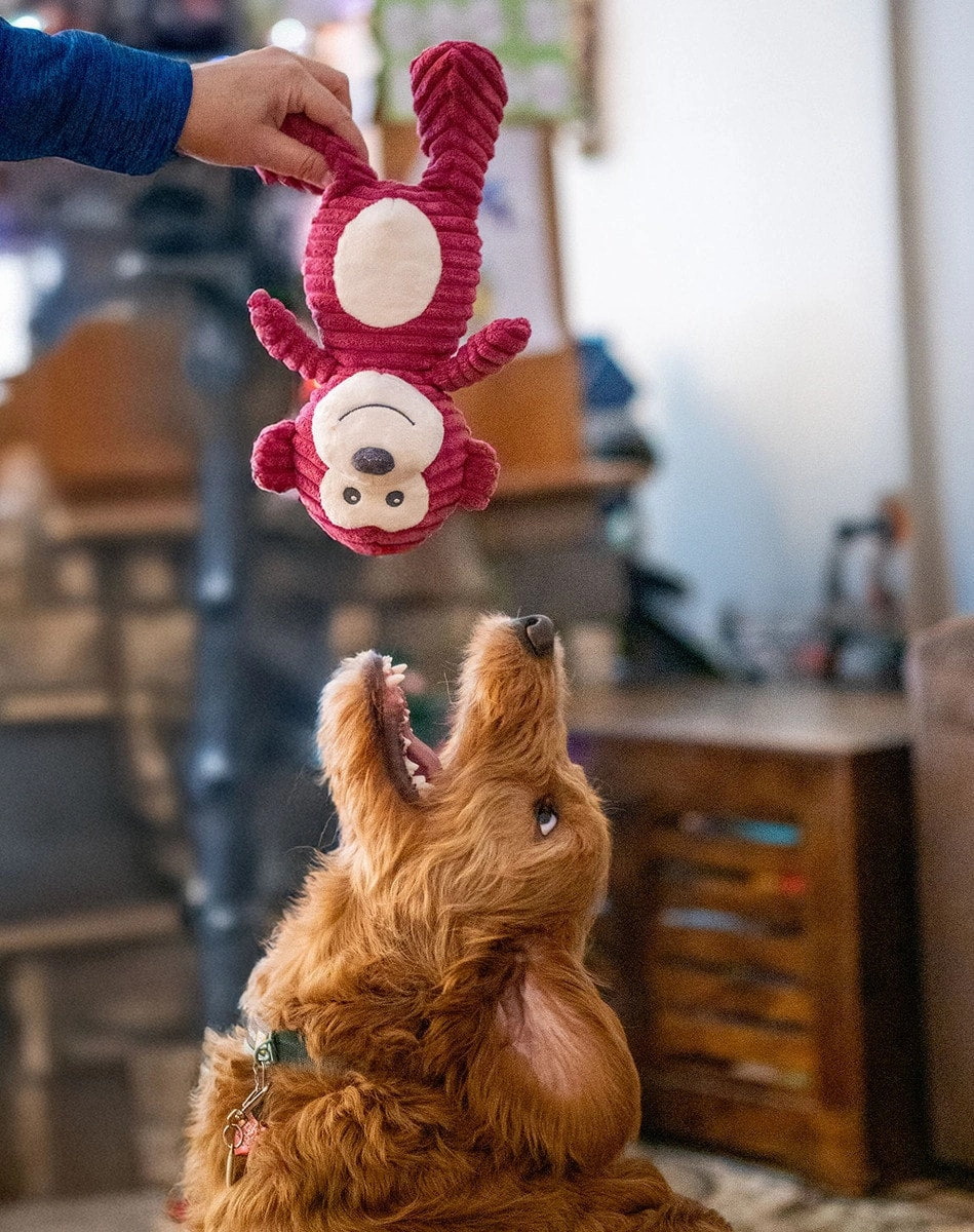 ThoozyPet Tuff & Cuddly Monkey Plush Dog Toy