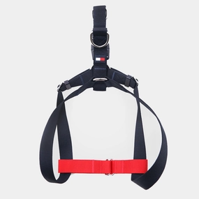 Tommy Hilfiger Blocked Harness for Dogs (Red/White)