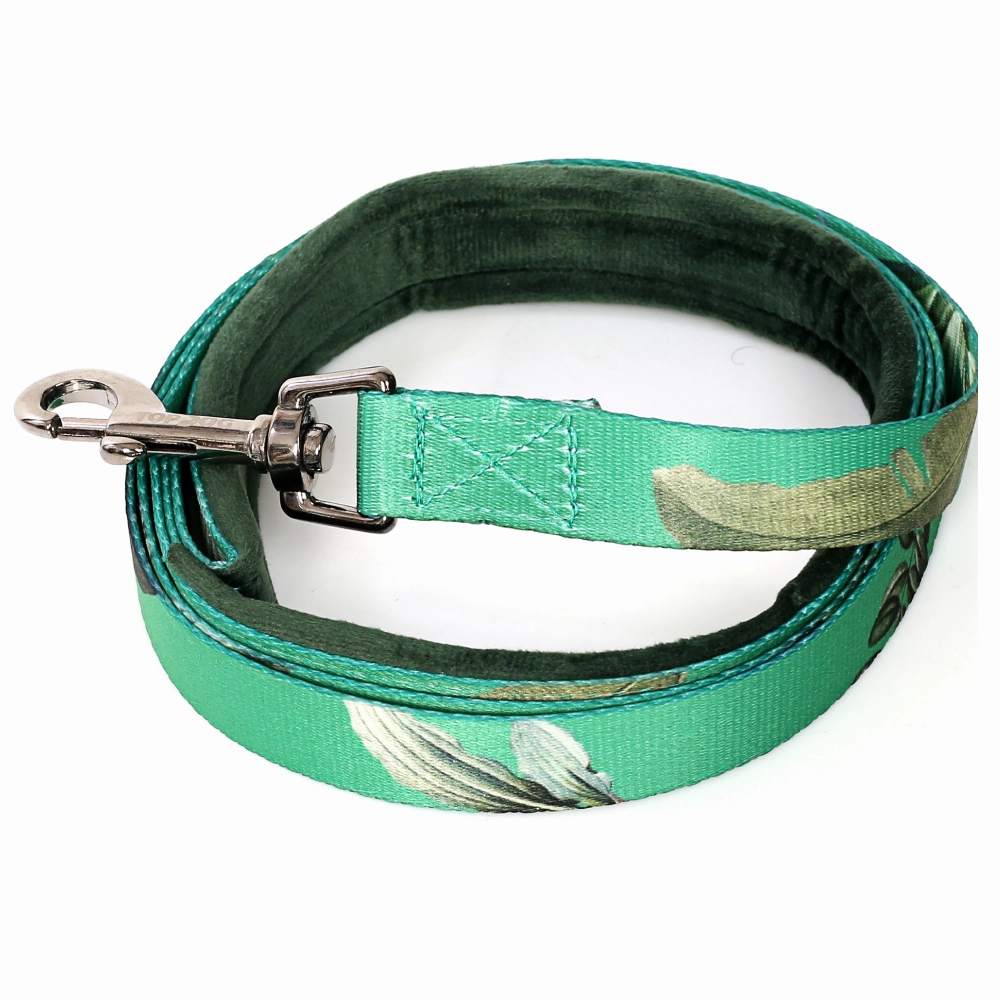 TopDog Premium Leaves Printed Nylon Leash & Collar Set for Dogs (Green)