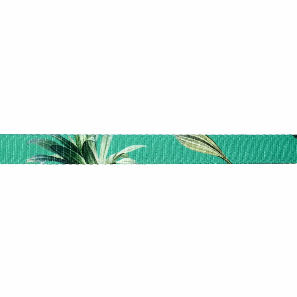 TopDog Premium Leaves Printed Nylon Leash & Collar Set for Dogs (Green)
