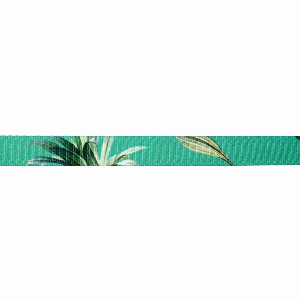TopDog Premium Leaves Printed Nylon Leash & Collar Set for Dogs (Green)