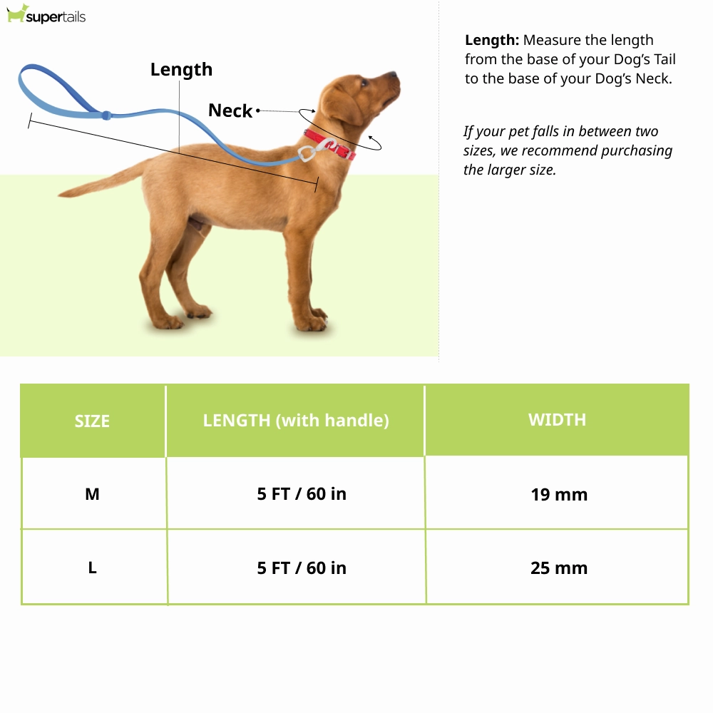 TopDog Premium Leaves Printed Nylon Leash for Dogs (Green)