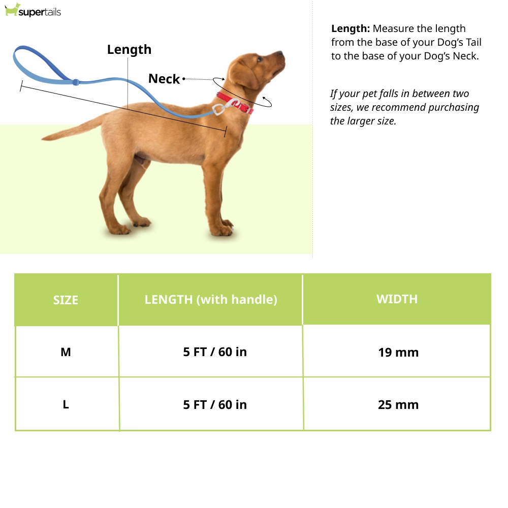 TopDog Premium Tribal Printed Nylon Leash for Dogs (Mustard)