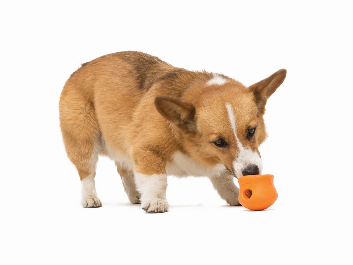 Toppl Dog Treat Toy