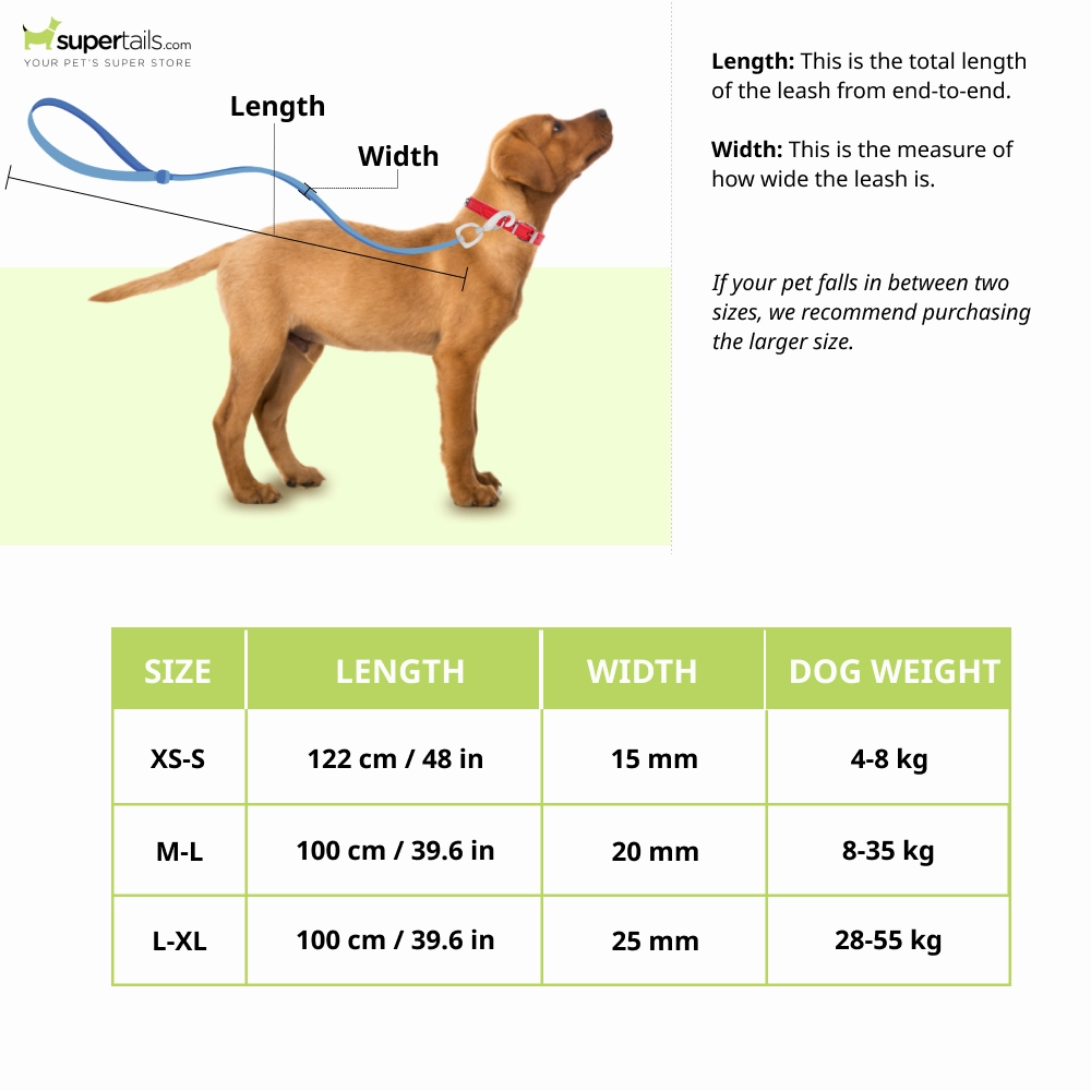 Trixie Classic H Harness, Lead Leash and Collar for Dogs Combo (Red) - L