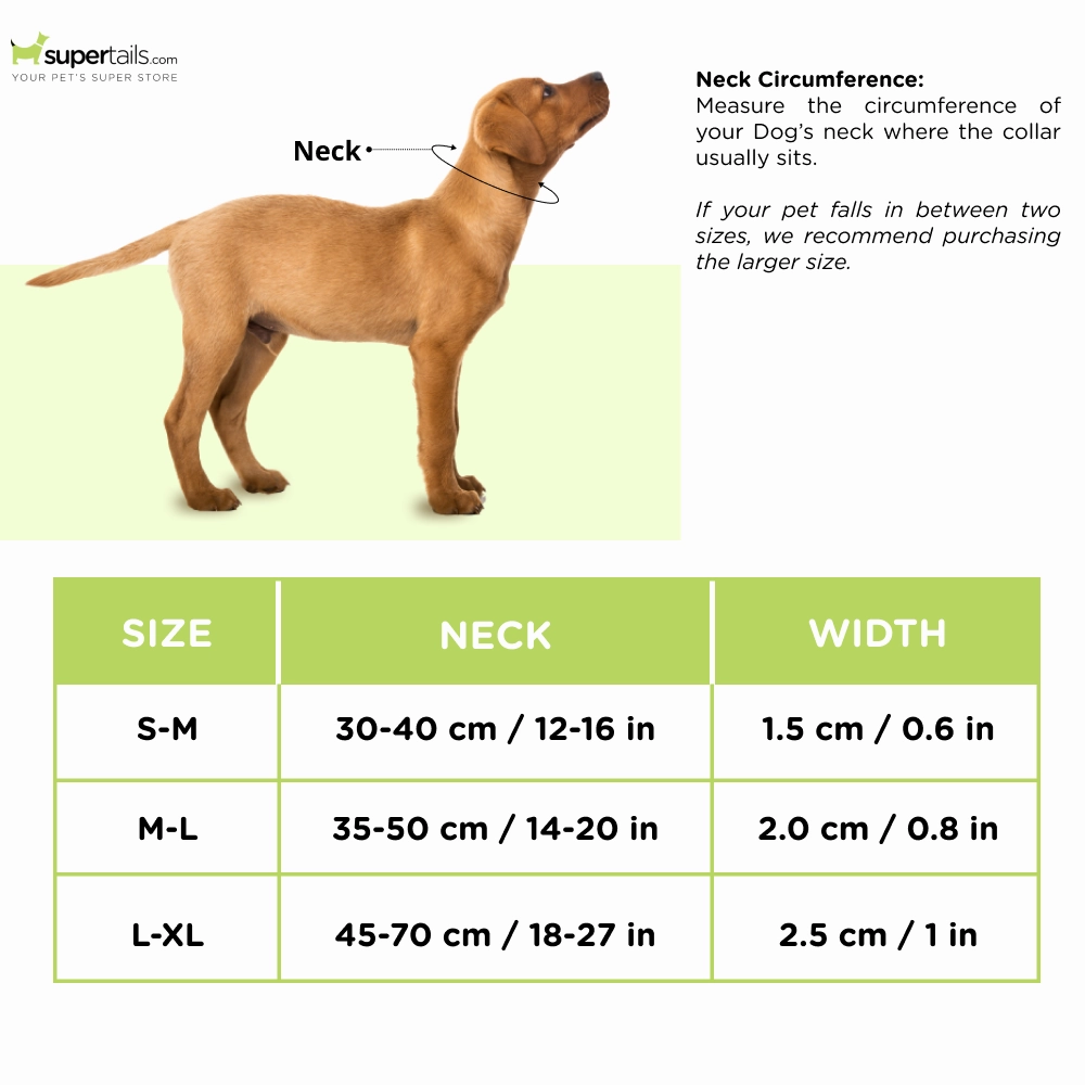 Trixie Premium Collar for Dogs (Caramel)