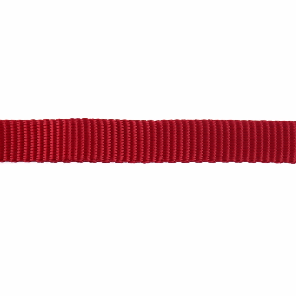 Trixie Premium Collar for Dogs (Red)
